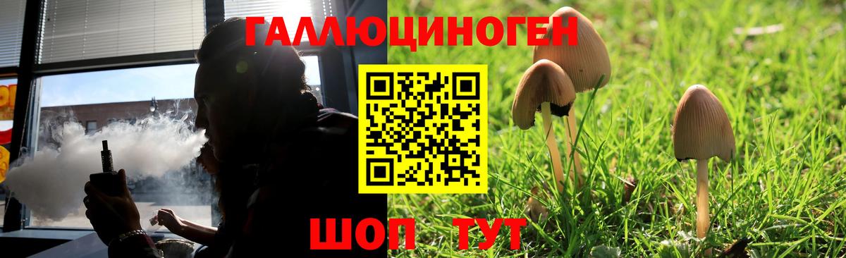 купить наркоту  Псилоцибиновые грибы GOLDEN TEACHER  Галлюциногенные грибы мухоморы  Вход с VPN  Екатеринбург 